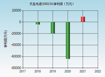 天岳销售收入（天岳公司股票）-图2