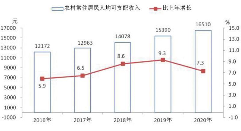 2016年收入分配（2020年收入分配）-图2