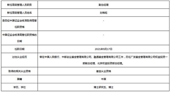 副总大概收入多少（副总一般管什么）-图3