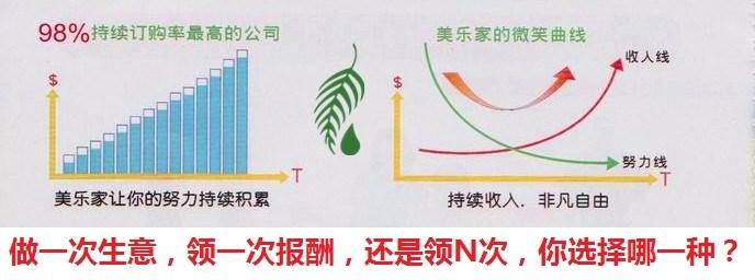 经营美乐家的收入（经营美乐家的收入怎么样）-图2