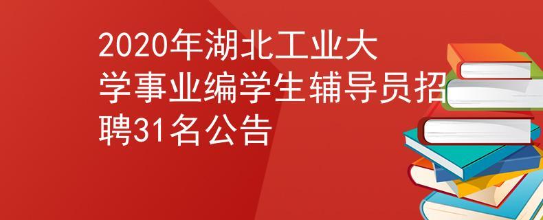 湖工老师收入（湖工大辅导员招聘）-图3