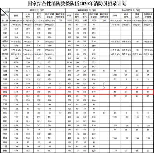 湖北消防收入（湖北省消防员工资）-图2