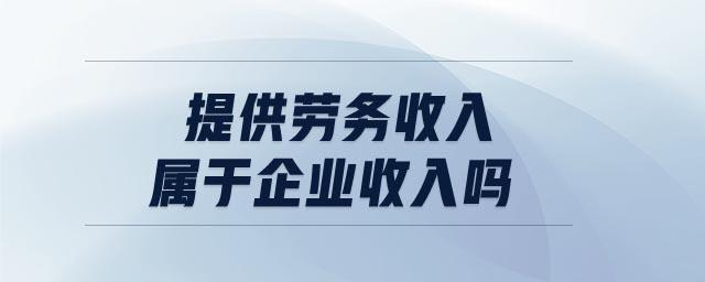 收入提供劳务收入（提供劳务取得的收入属于企业收入吗）-图3