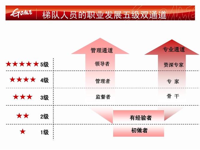 国美人事收入（国美的人力岗位值得去吗）-图3