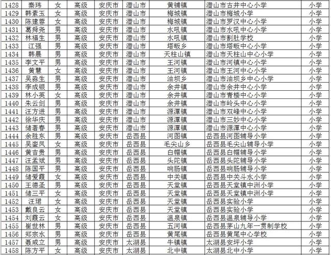 桐城小学老师收入的简单介绍-图1