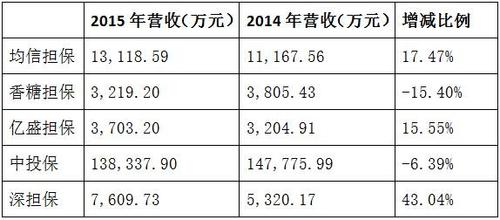 担保公司的收入（担保公司的收入怎么样）-图2