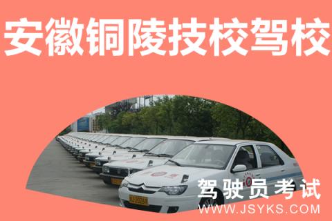 宿州驾校教练收入（铜陵驾校教练工资）-图1