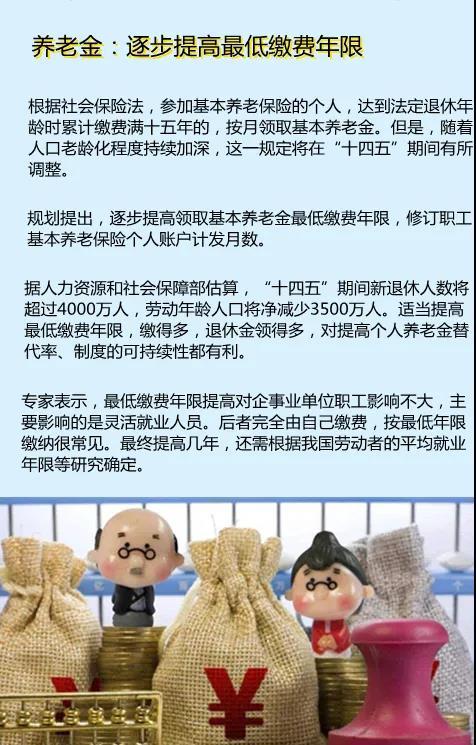 社会保障、收入分配（社会保障收入是按劳分配吗）-图2