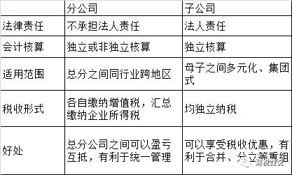 总分公司收入（总分公司收入抵消）-图2