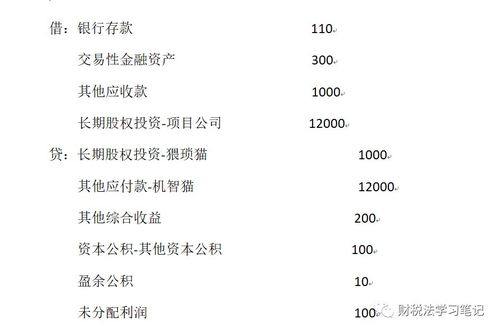 总分公司收入（总分公司收入抵消）-图1