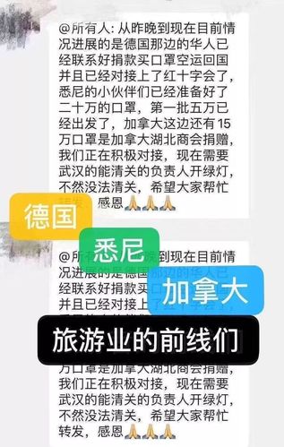 欧洲出境领队收入百万（欧洲领队年收入100万）-图3