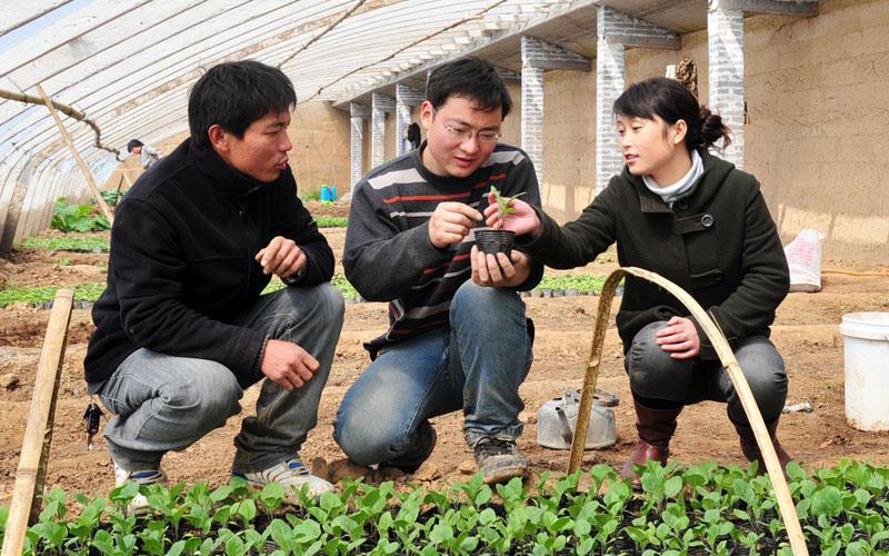 昆山市村官收入（苏州村官一年收入）-图1