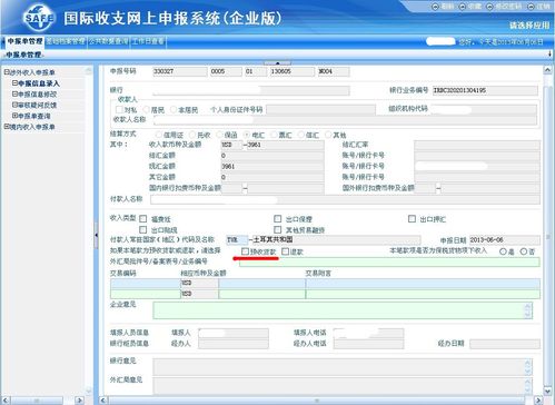 公司收入外汇（公司外汇收入如何申报）-图3