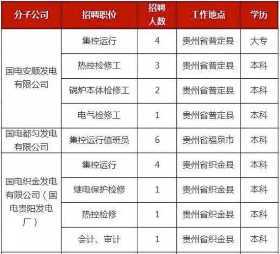 贵州国电集团收入（国电贵州电力有限公司招聘）-图2