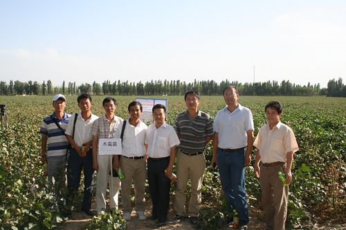 农垦科学院收入（农垦农科院）-图2