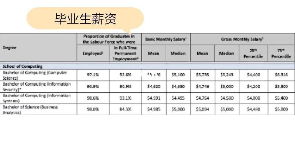 新加坡硕士的收入（新加坡硕士薪资）-图3