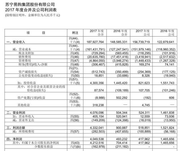 苏宁总监收入（苏宁易购总监级别工资多少）-图2