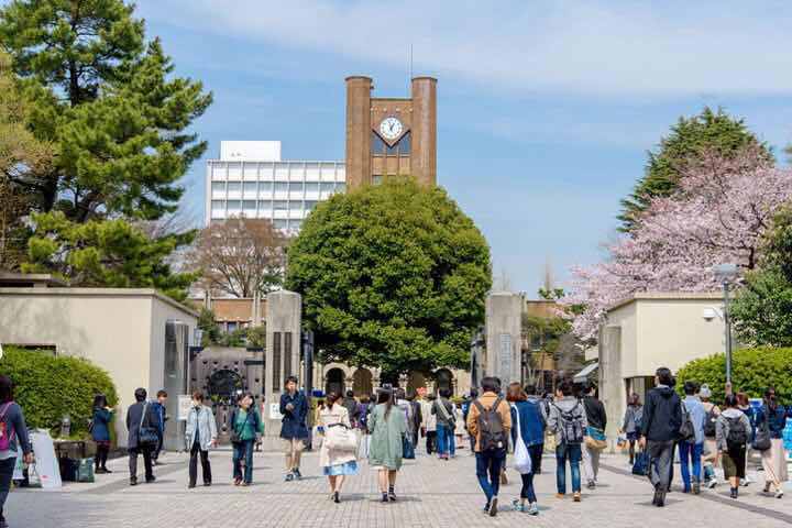 东京博后收入（东京大学博后待遇）-图1