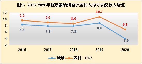 西双版纳收入（西双版纳收入概况图）-图3