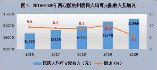 西双版纳收入（西双版纳收入概况图）-图2