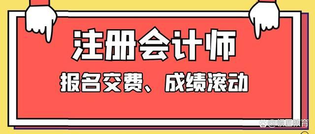 注册会计师年收入（注册会计师年收入60w正常吗）-图3