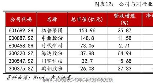 中鼎集团2018收入（中鼎集团市值）-图1