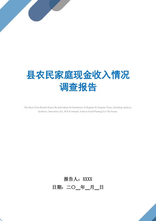 家庭收入调查报告范文（家庭收入调查报告范文怎么写）-图2