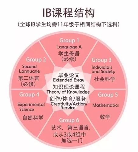 ib中文教师收入（ib中文辅导）-图2