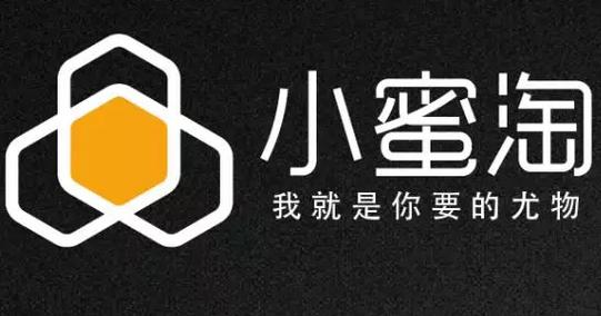 小蜜淘月收入（2020小蜜淘真能上市吗）-图1