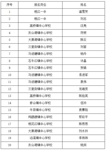 桃江在编教师收入（桃江乡村教师工资）-图2