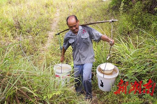 包含农民鸿涛月收入的词条-图1