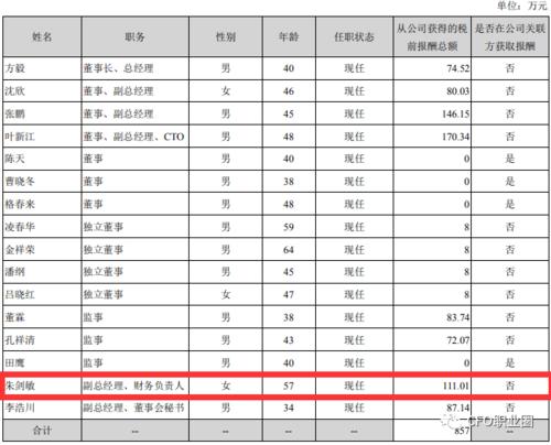 总监的灰色收入（总监的灰色收入有多少）-图3