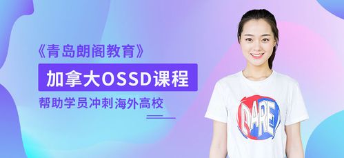 abc课程顾问收入（课程顾问cc）-图1