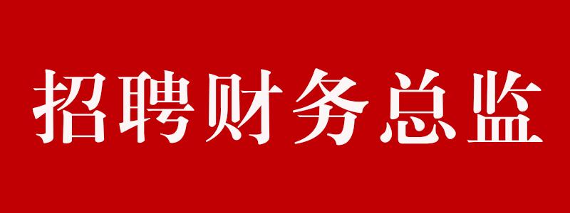 徐州财务经理收入（徐州财务总监招聘）-图3