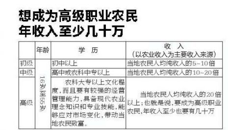 高收入资格证（获得高收入）-图2