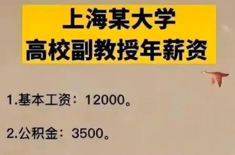 高校院办主任收入（高校院办主任收入怎么样）-图1