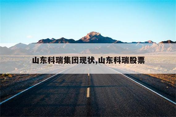 山东科瑞收入利润（山东科瑞现状）-图3