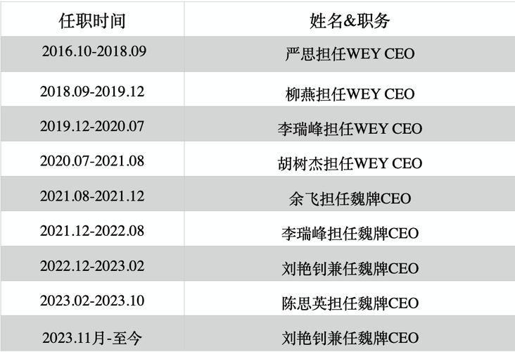 集团副总收入（集团的副总有多大）-图1