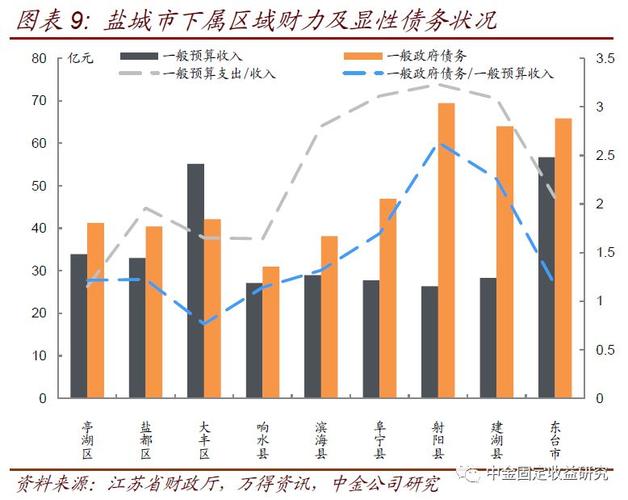 射阳年平均收入（射阳2020年一般预算收入）-图1