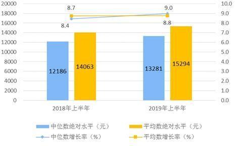 19年国内收入（2019 收入）-图3