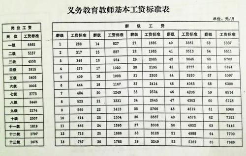 民办位育教师收入（民办教师基本工资最低多少）-图1