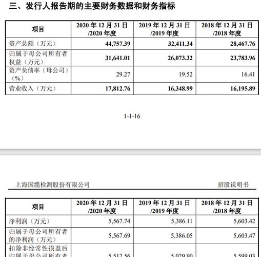 咨询公司pm收入（咨询公司 收入）-图2