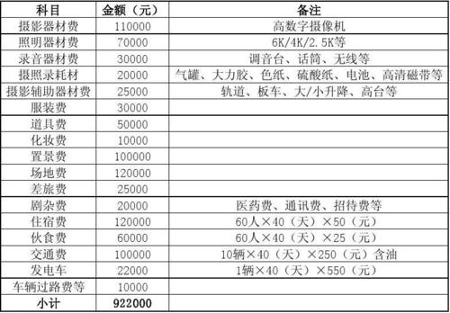 影视制作收入入账（影视制作费用计入什么科目）-图1