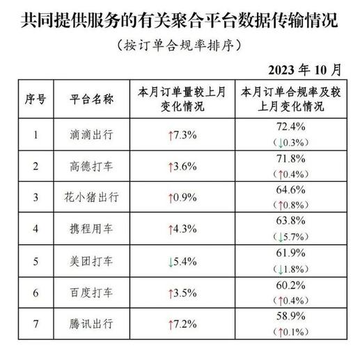 海口跑滴滴收入（海口跑滴滴一月多少钱）-图2