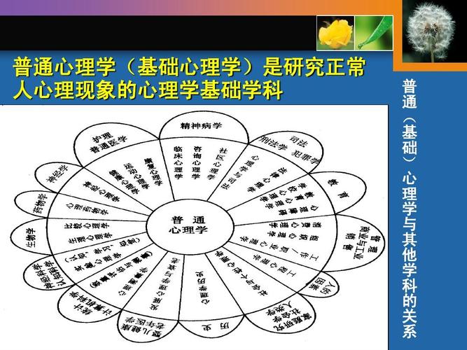 心理学收入（心理学收入者恶意）-图3