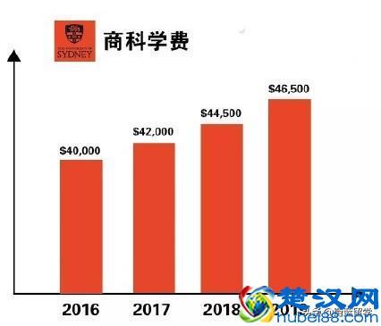 悉尼大学平均收入（悉尼大学一年收多少学生）-图1