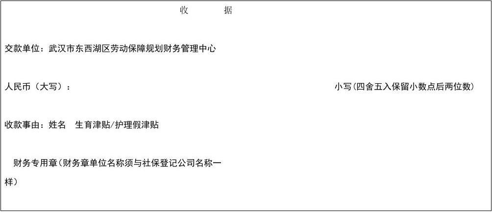 生育金收入如何记账（收生育金分录）-图3