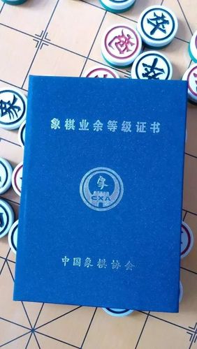 象棋教练的收入（2020象棋教练员资格证怎么拿）-图1