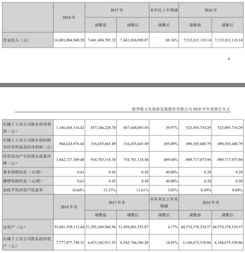 新华联2013收入（新华联2020年年报）-图1