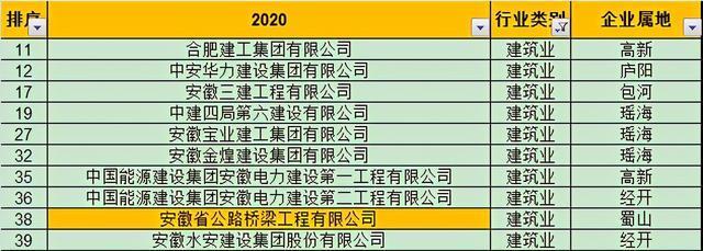 合肥滨湖年产总收入（合肥滨湖企业排名）-图2